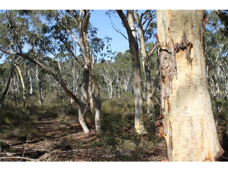 Corner Tamar & Bumballa St, Tallong NSW 2579