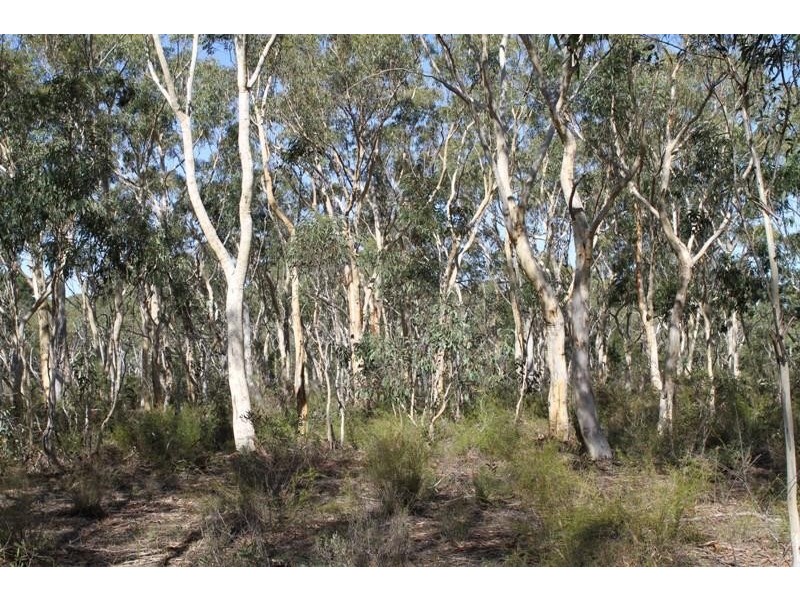 Corner Tamar & Bumballa St, Tallong NSW 2579