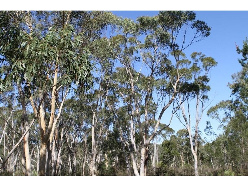 Corner Tamar & Bumballa St, Tallong NSW 2579