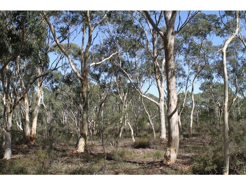 Corner Tamar & Bumballa St, Tallong NSW 2579