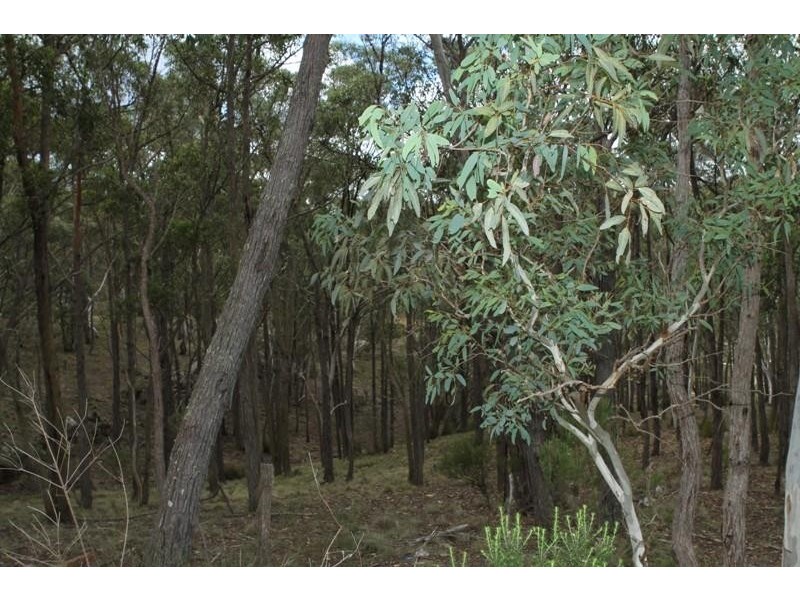 712 Tiyces Lane, Marulan NSW 2579