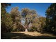 102-104 Old Wingello Rd, Bundanoon NSW 2578