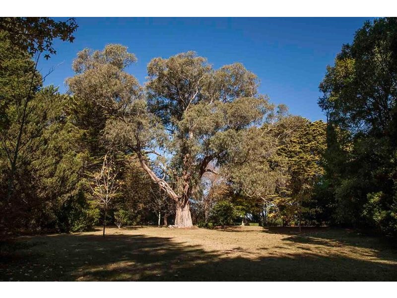 102-104 Old Wingello Rd, Bundanoon NSW 2578