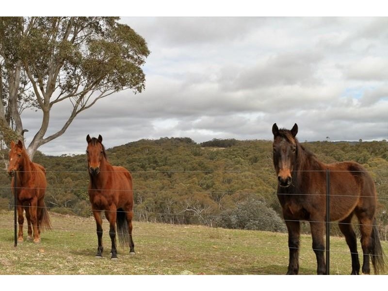 1760 Towrang Road Rd, Greenwich Park NSW 2580