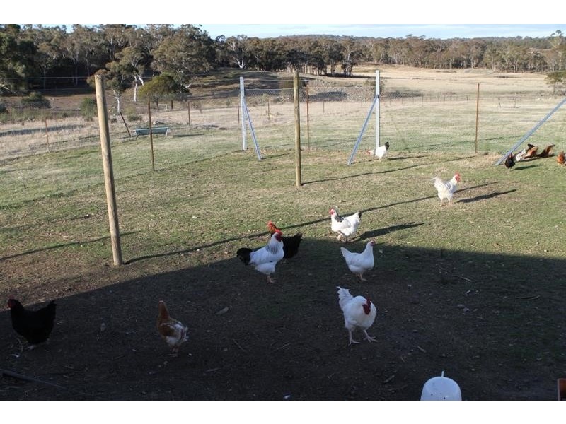 524 Jerrara Rd, Marulan NSW 2579