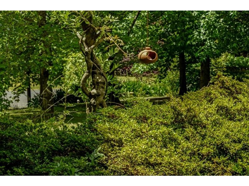 31 Garland Rd, Bundanoon NSW 2578