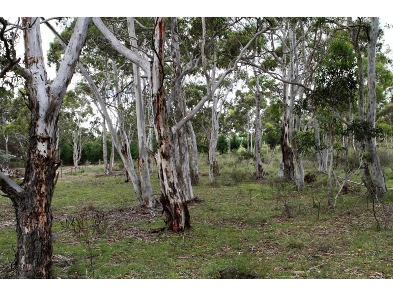 511 Mulwaree Dr, Tallong NSW 2579