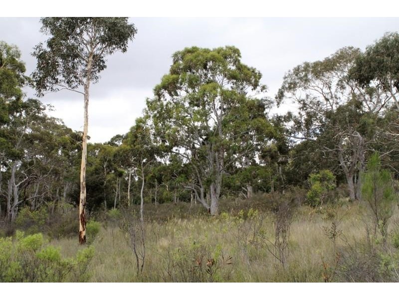 511 Mulwaree Dr, Tallong NSW 2579