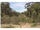 2501 Towrang  Rd, Big Hill NSW 2579