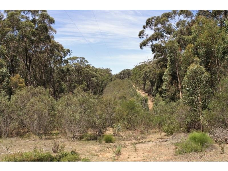 2501 Towrang  Rd, Big Hill NSW 2579