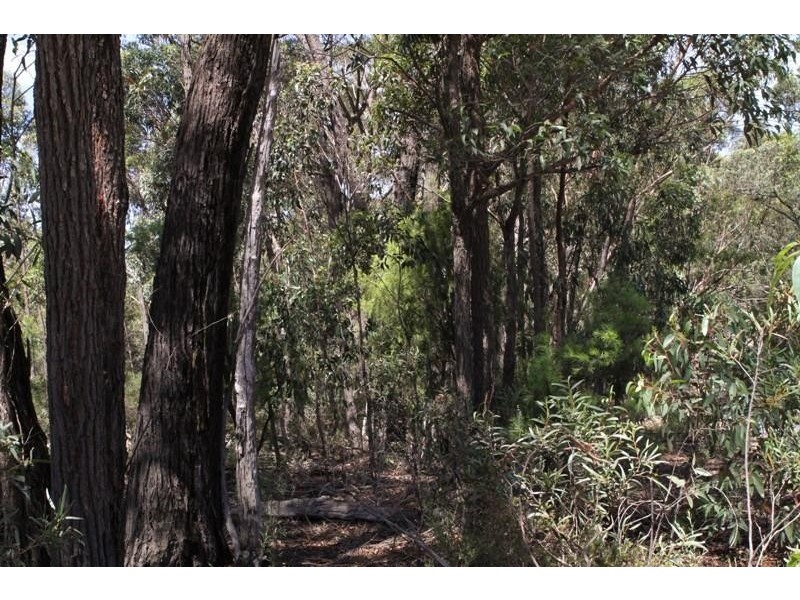 2501 Towrang  Rd, Big Hill NSW 2579