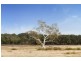Lots 1-53 Leicester and Corriedale Rd, Marulan NSW 2579