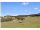 557 The Lookdown Rd, Bungonia NSW 2580