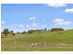 557 The Lookdown Rd, Bungonia NSW 2580