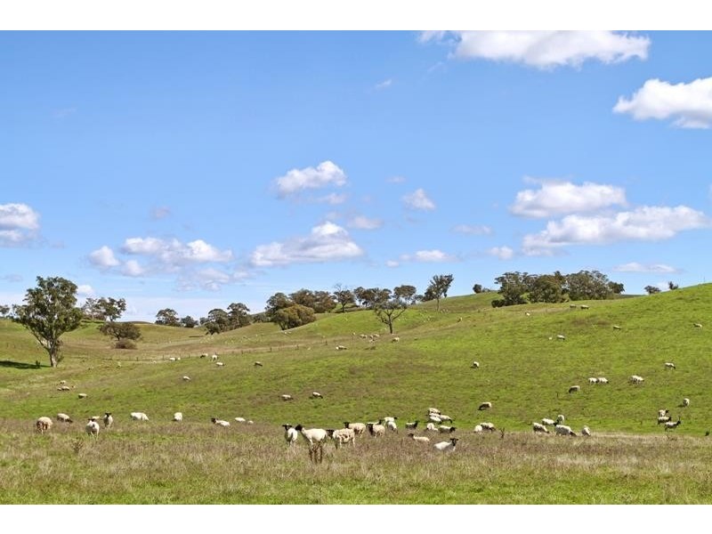 557 The Lookdown Rd, Bungonia NSW 2580
