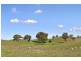 557 The Lookdown Rd, Bungonia NSW 2580