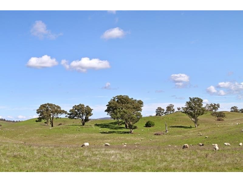 557 The Lookdown Rd, Bungonia NSW 2580