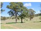 557 The Lookdown Rd, Bungonia NSW 2580