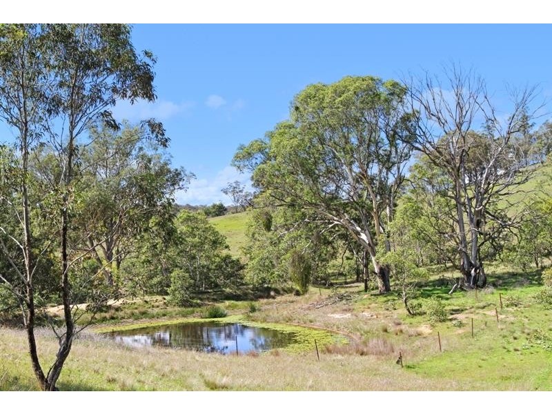 557 The Lookdown Rd, Bungonia NSW 2580