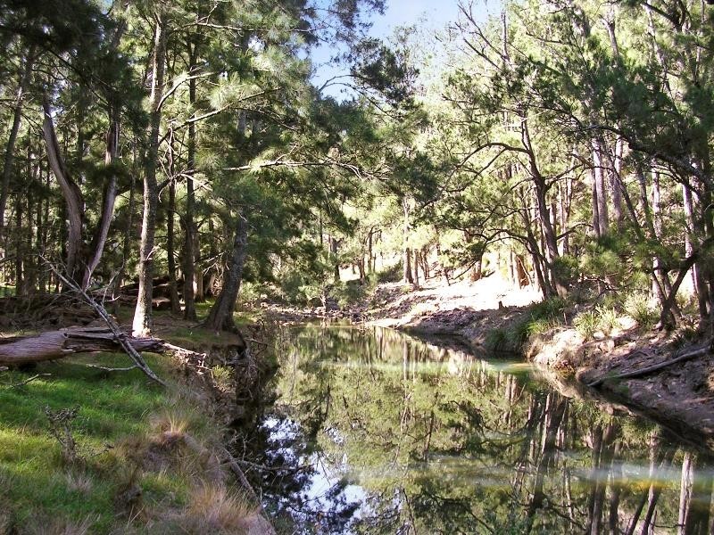 557 The Lookdown Rd, Bungonia NSW 2580