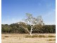 1-53 Betley Park Estate, Marulan NSW 2579