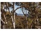 65 Mulwaree Dr, Tallong NSW 2579