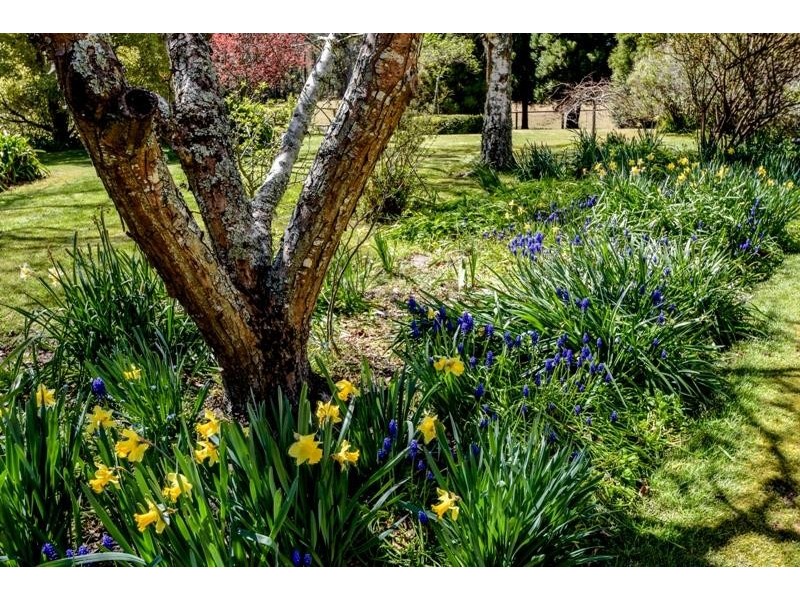 1 Moyes Lane, Penrose NSW 2579