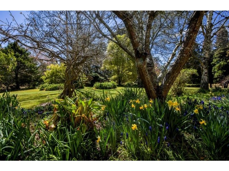 1 Moyes Lane, Penrose NSW 2579