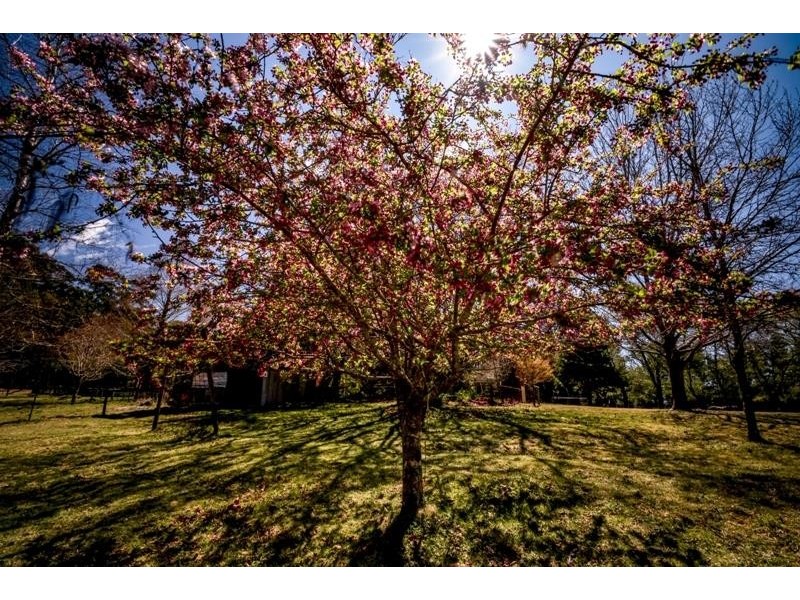 1 Moyes Lane, Penrose NSW 2579