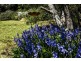 91 Railway Ave, Bundanoon NSW 2578