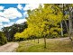 6 Casuarina Ave, Tallong NSW 2579