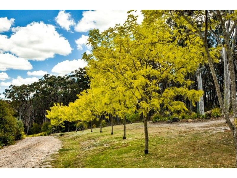 6 Casuarina Ave, Tallong NSW 2579