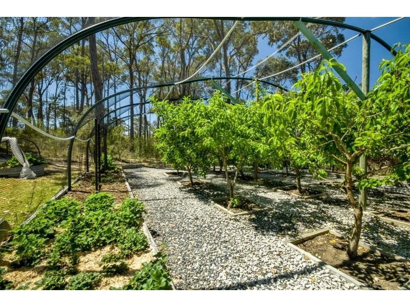 6 Casuarina Ave, Tallong NSW 2579