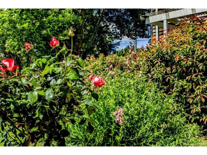 5 William St, Bundanoon NSW 2578