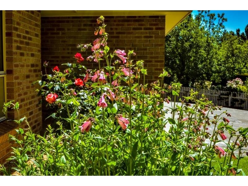 5 William St, Bundanoon NSW 2578