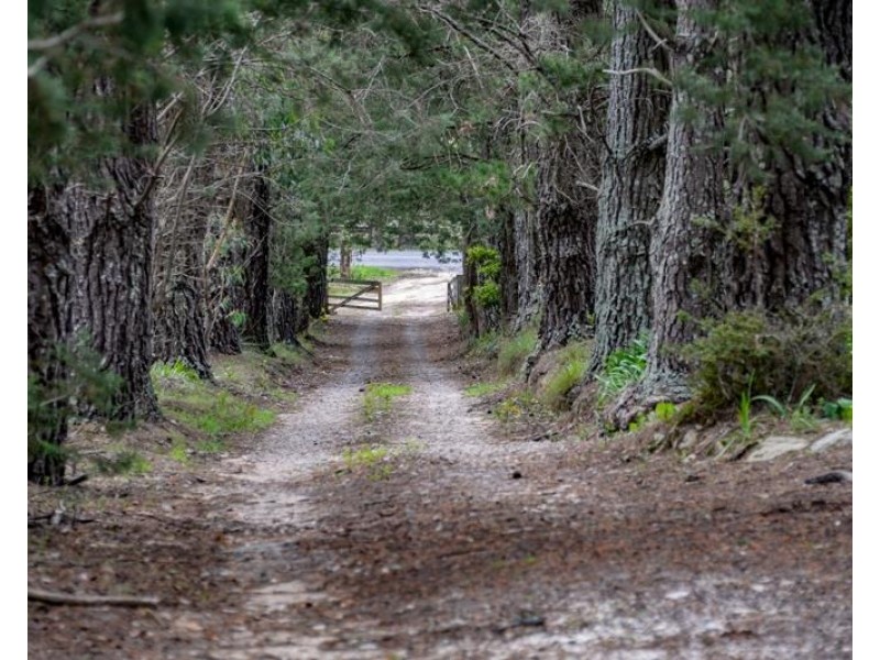 577 Penrose Road, Penrose NSW 2579