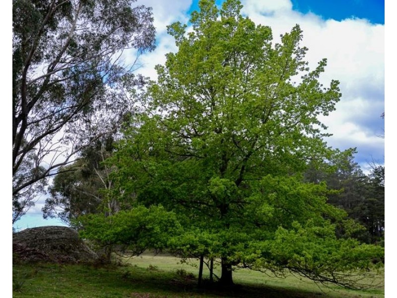 577 Penrose Road, Penrose NSW 2579