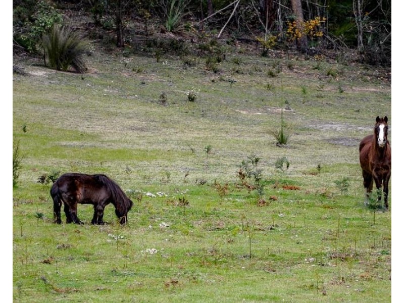 577 Penrose Road, Penrose NSW 2579