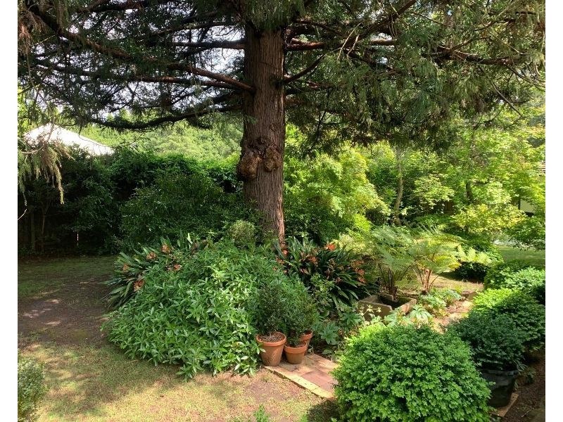 2 Nicholas Avenue, Bundanoon NSW 2578