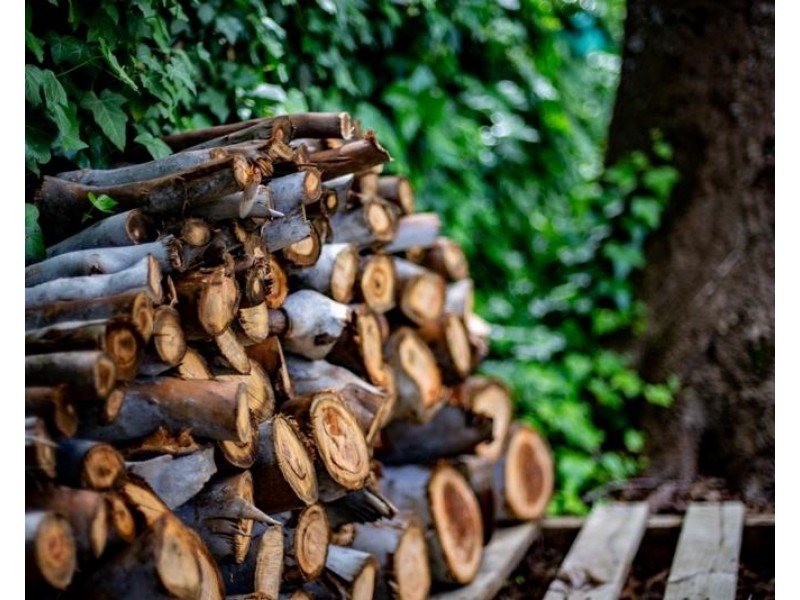 6 Birriga Avenue, Bundanoon NSW 2578