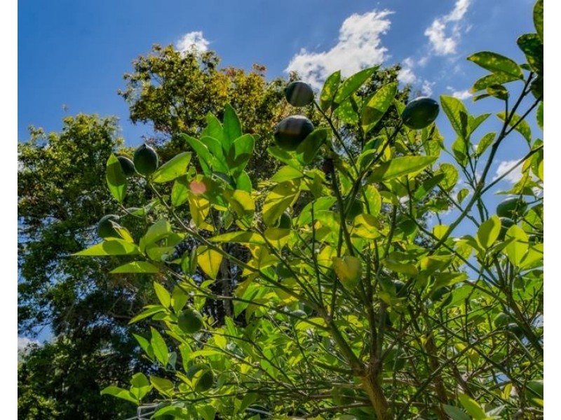 19 Sydney Street, Wingello NSW 2579