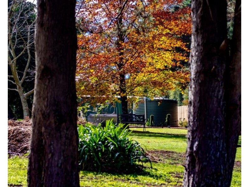 199 Railway Avenue, Bundanoon NSW 2578