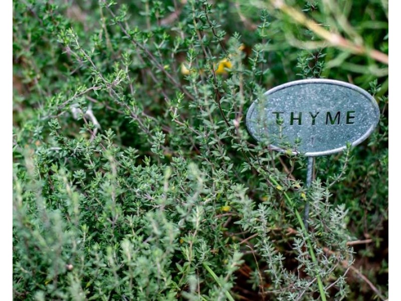 199 Railway Avenue, Bundanoon NSW 2578