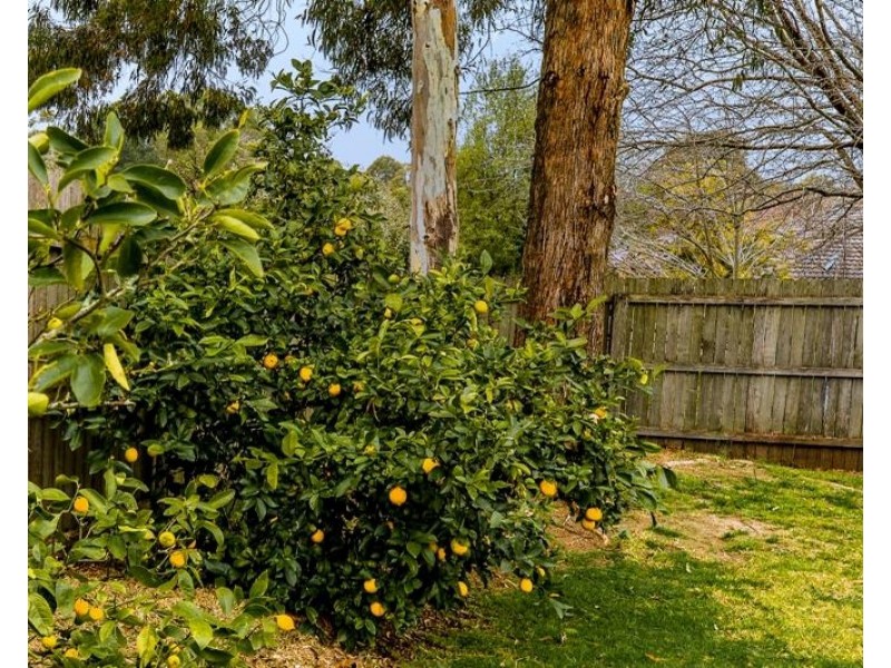 4 Betula Grove, Bundanoon NSW 2578