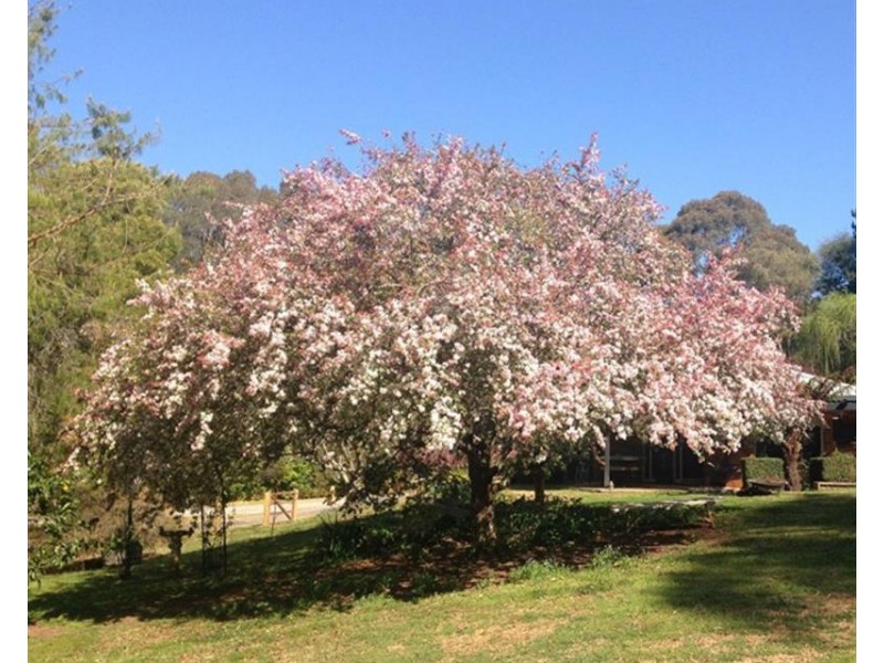 28 Garland Road, Bundanoon NSW 2578