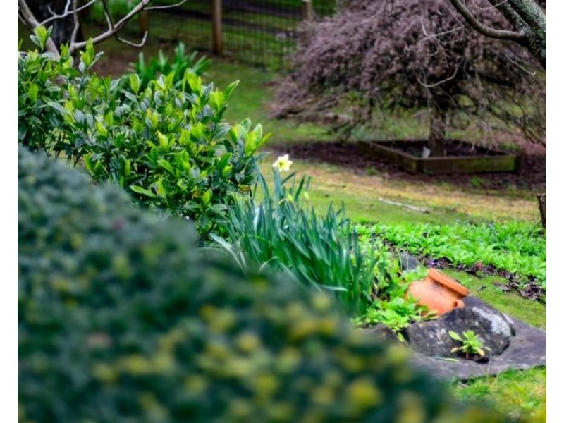 28 Garland Road, Bundanoon NSW 2578