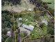 22-26 Ross Street, Bundanoon NSW 2578