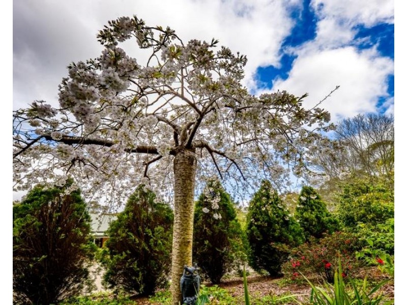 22-26 Ross Street, Bundanoon NSW 2578