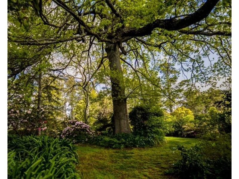 198 Erith Street, Bundanoon NSW 2578