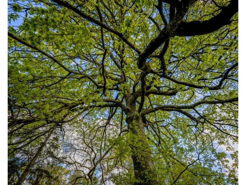 198 Erith Street, Bundanoon NSW 2578